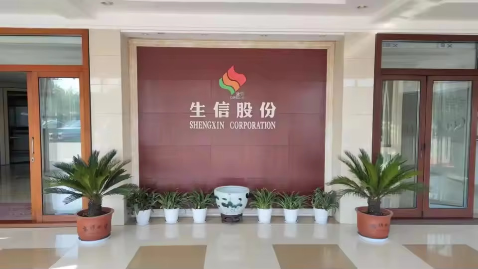 Chine ANHUI SHENGXIN  CORPORATION LIMITED Profil de la société